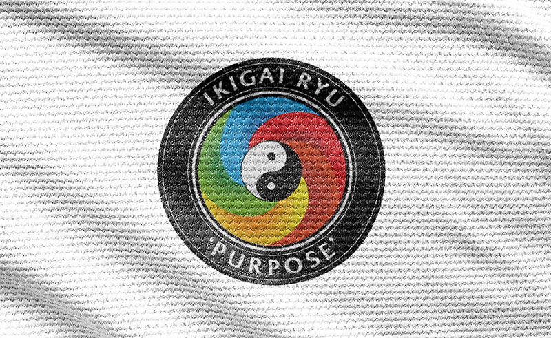 Ikigai Ryu Martial Arts Kenilworth Warwickshire as designed by Emma Scott Web Design
